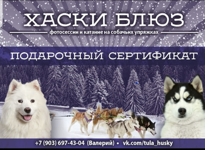 Познавательно-развлекательные экскурсии, аренда монгольской юрты и финского гриль-домика, катание на снегоходах и многое другое в «Хаски блюз» со скидкой до 50%!