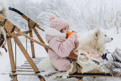 Познавательно-развлекательные экскурсии, аренда монгольской юрты и финского гриль-домика, катание на снегоходах и многое другое в «Хаски блюз» со скидкой до 50%!