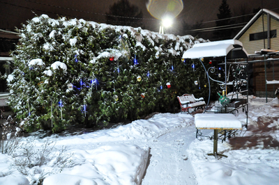 Эксклюзивная русская баня со скидкой до 18%