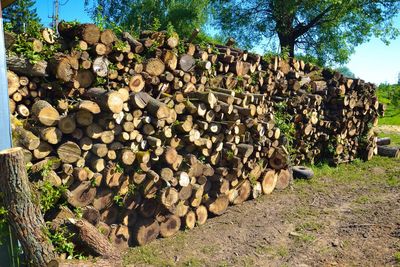 Эксклюзивная русская баня