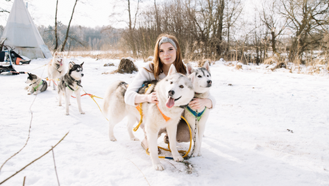 Познавательно-развлекательные экскурсии, аренда монгольской юрты и финского гриль-домика, катание на снегоходах и многое другое в «Хаски блюз» со скидкой до 50%!